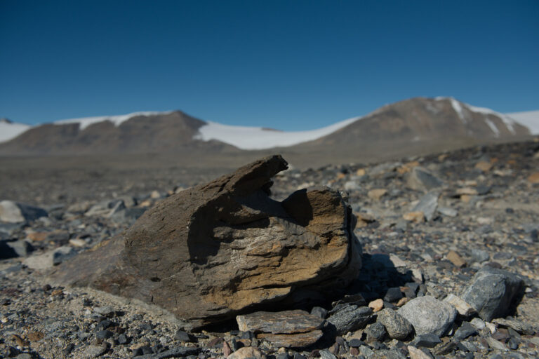Dry Valleys, ©Dr. Michael Wenger